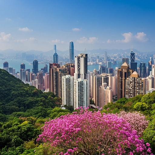 香港 20 GB 30 天
