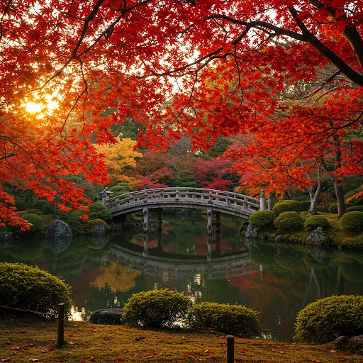 Japan 20 GB 30 Days