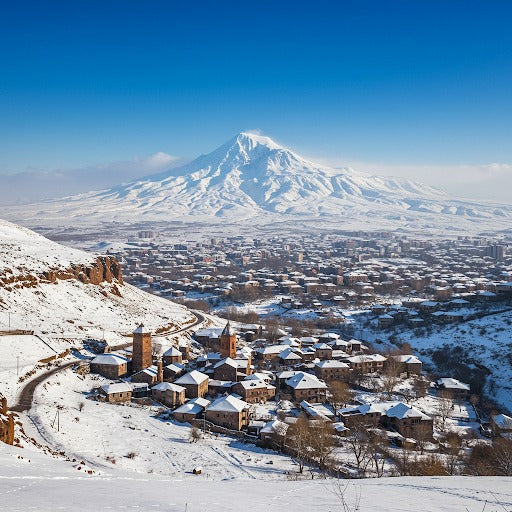 Armenia 10 GB 30 Days