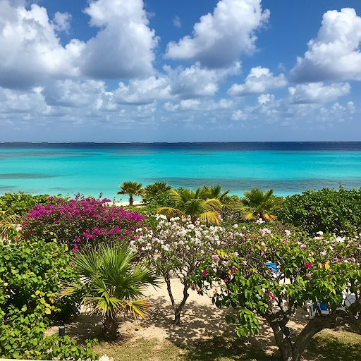 Caribbean 10 GB 30 Days