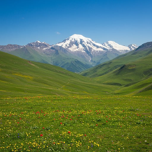 Georgia Premium 10 GB 30 天